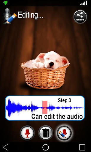免費下載攝影APP|Photo Audio Album Creater app開箱文|APP開箱王