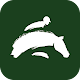 Download Green Horse For PC Windows and Mac 1.0.2