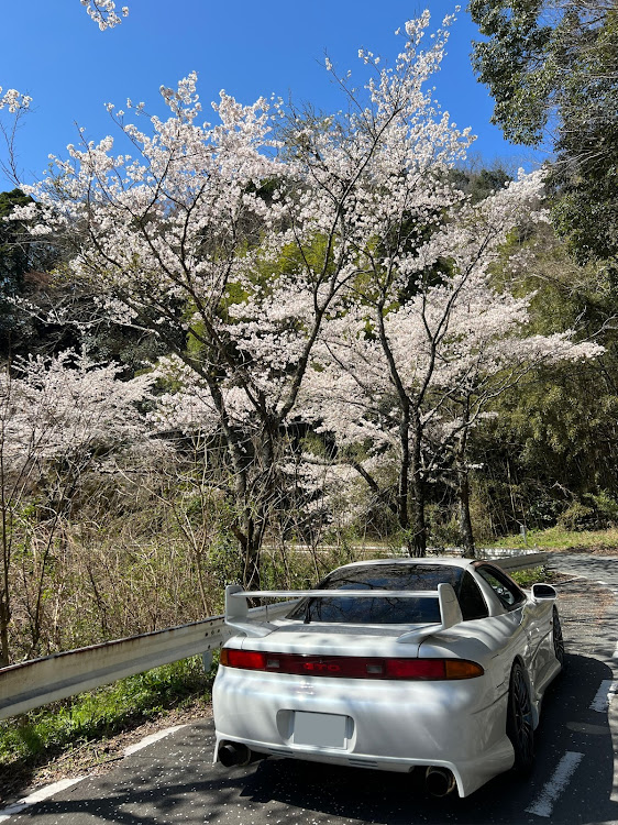 の投稿画像4枚目