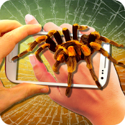 Spider on Hand. Camera Prank  Icon