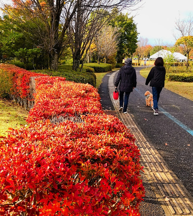 ノート オーラの勝手にVR💕・ワンチューン💕・虹とコラボ🌈・11月もよろしくお願いしますに関するカスタム事例の投稿画像4枚目