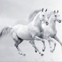 White Horse
