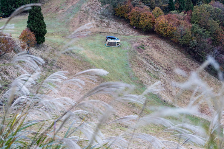 の投稿画像4枚目