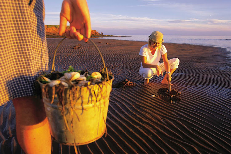 Digging for clams at Argyle Shore on Prince Edward Island, Canada. 