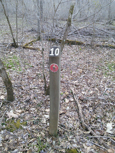 Middle Patuxent Tail Marker 10