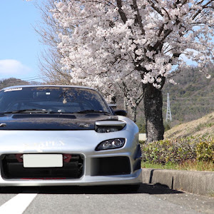 RX-7 FD3S 前期