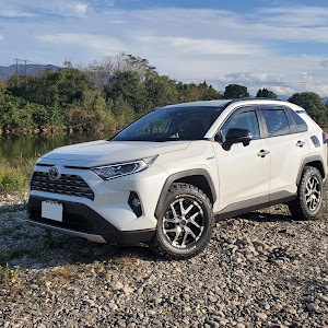 RAV4 AXAH54