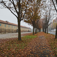 Autunno lungo i cascinali di Stupinigi di Pino Cappellano