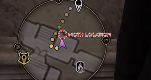 Moth location