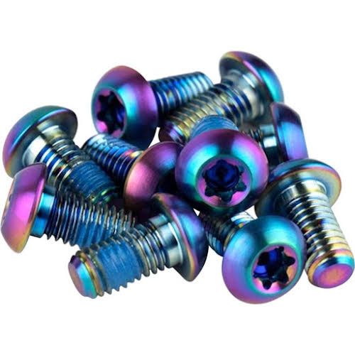 SRAM Titanium T25 Rotor Bolt Kit - Rainbow, Set of 12