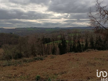 terrain à Sérilhac (19)