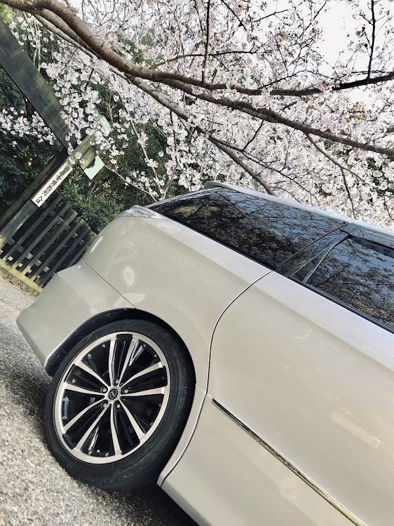 エスティマのドライブ・田原博物館館・桜に関するカスタム事例の投稿画像5枚目