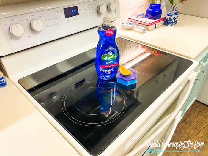 Dishwashing Liquid