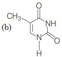 Nucleic Acids