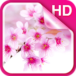 Sakura Live Wallpaper HD Apk