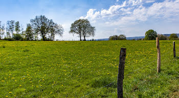 terrain à Beuvraignes (80)