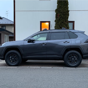 RAV4