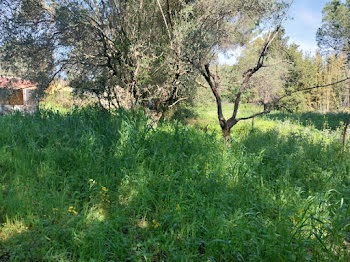 maison neuve à Roquebrune-sur-Argens (83)