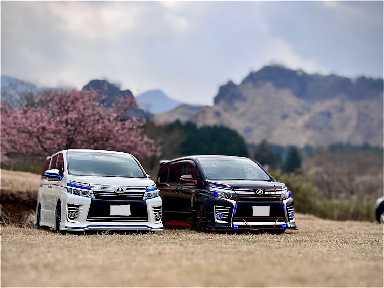 ヴォクシーのコラボ写真集・コラボお誘いお待ちしております・進化はとまらない・お尻は大事❤️・医療従事者にエールをに関するカスタム事例の投稿画像4枚目