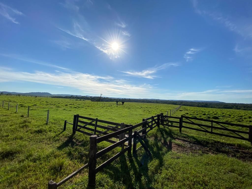 Fazendas à venda Zona Rural