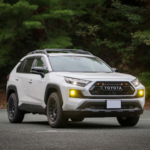 RAV4 AXAH54