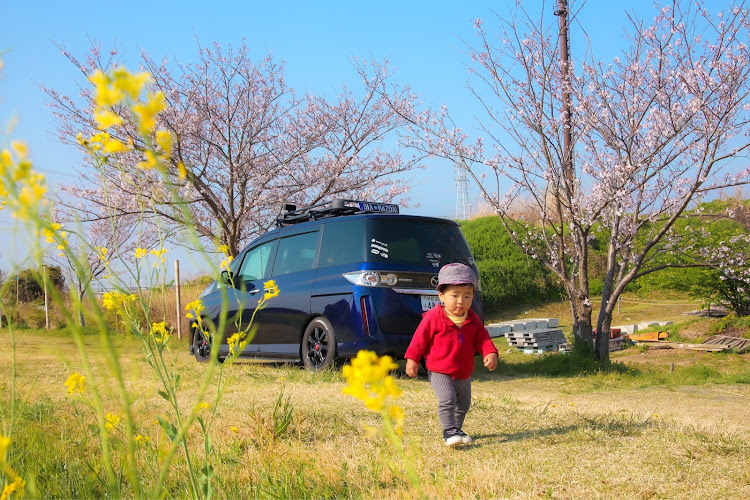 ビアンテの桜と愛車・桜とコラボ・桜・朝活に関するカスタム事例の投稿画像6枚目