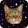 Space Cat Wallpaper HD Custom New Tab