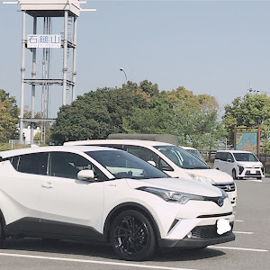 C-HR ZYX10