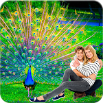 Cover Image of ดาวน์โหลด Peacock Photo Frames 1.0.4 APK