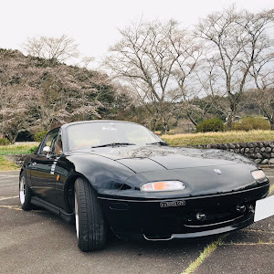 ロードスター NA8C