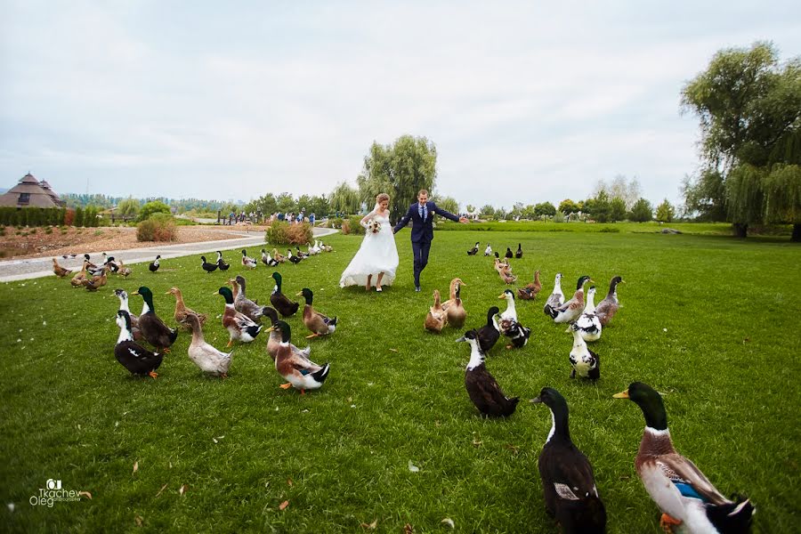 Photographe de mariage Oleg Tkachev (tkachev-foto). Photo du 12 mai 2019