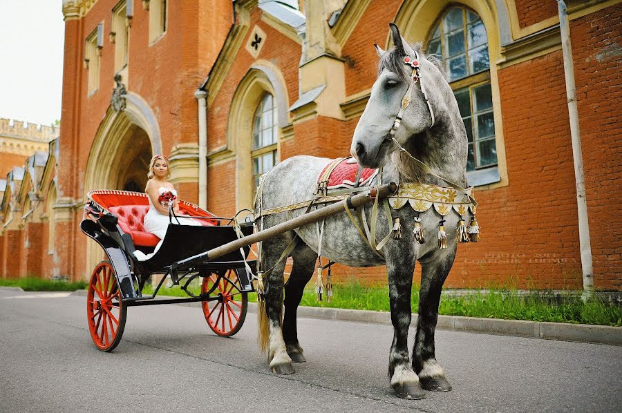 Fotografo di matrimoni Lyudmila Gorpinyuk (lgorpinuk). Foto del 5 luglio 2014