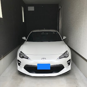 86 ZN6