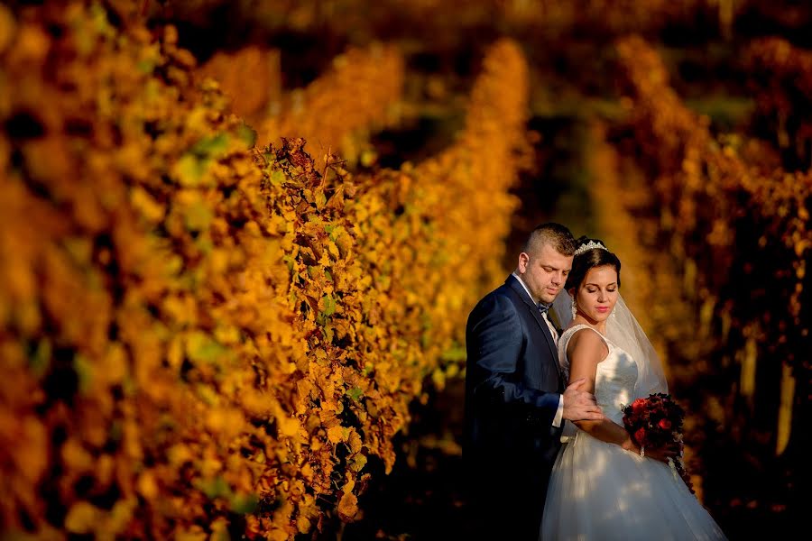 Wedding photographer László Fülöp (fuloplaszlo). Photo of 20 October 2017