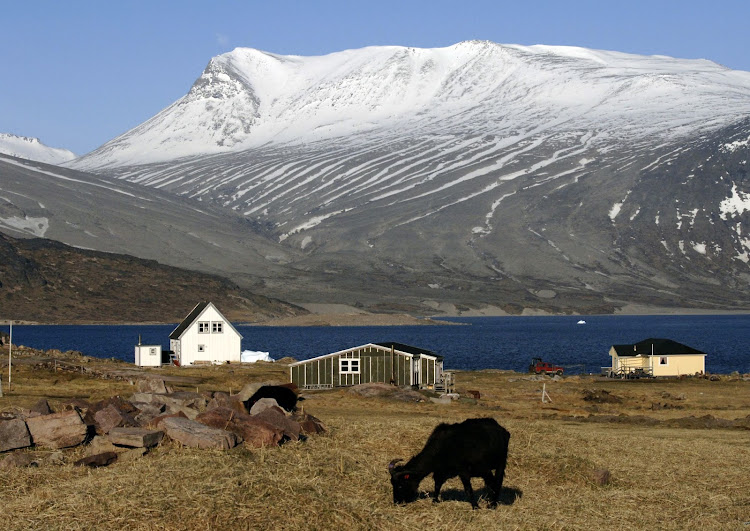 Enjoy the beauty of Greenland on your next Hurtigruten cruise.