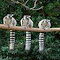 Item logo image for three ring tailed lemurs wallpaper