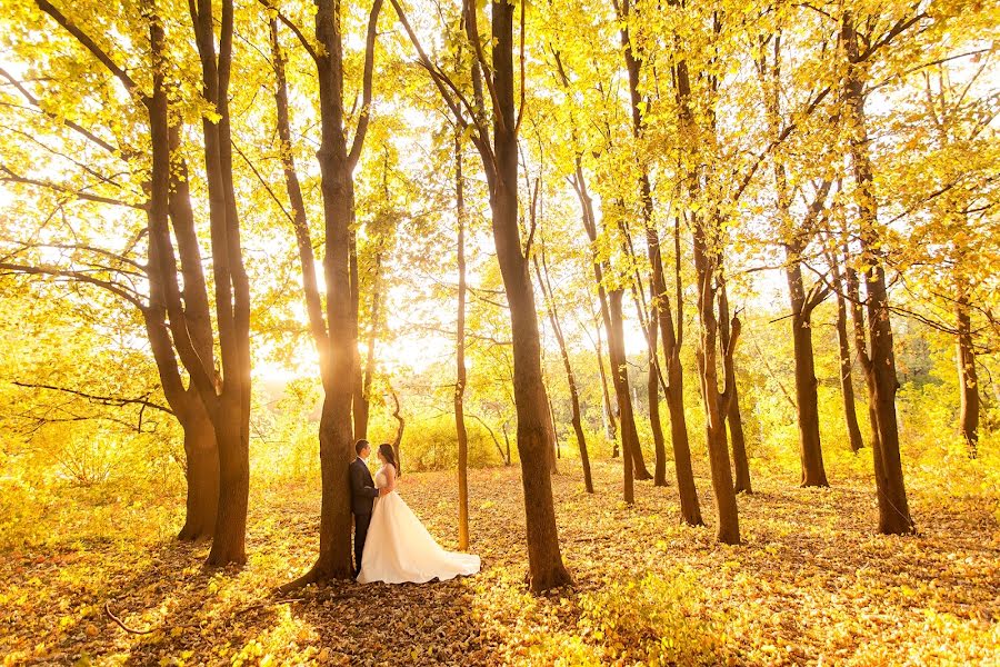 婚礼摄影师Valeriya Sytnik（sytnick）。2015 9月27日的照片