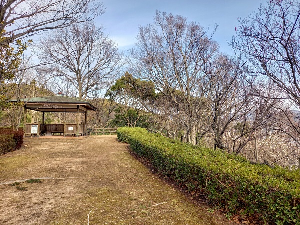 広島県安芸郡坂町 梅も桜も花盛りの横浜公園 Trill トリル