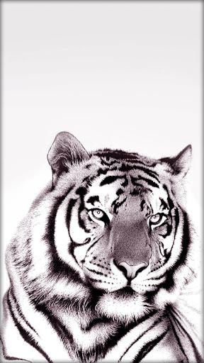 White Tiger LiveWallpaper