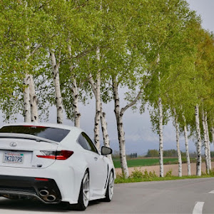 RC F USC10