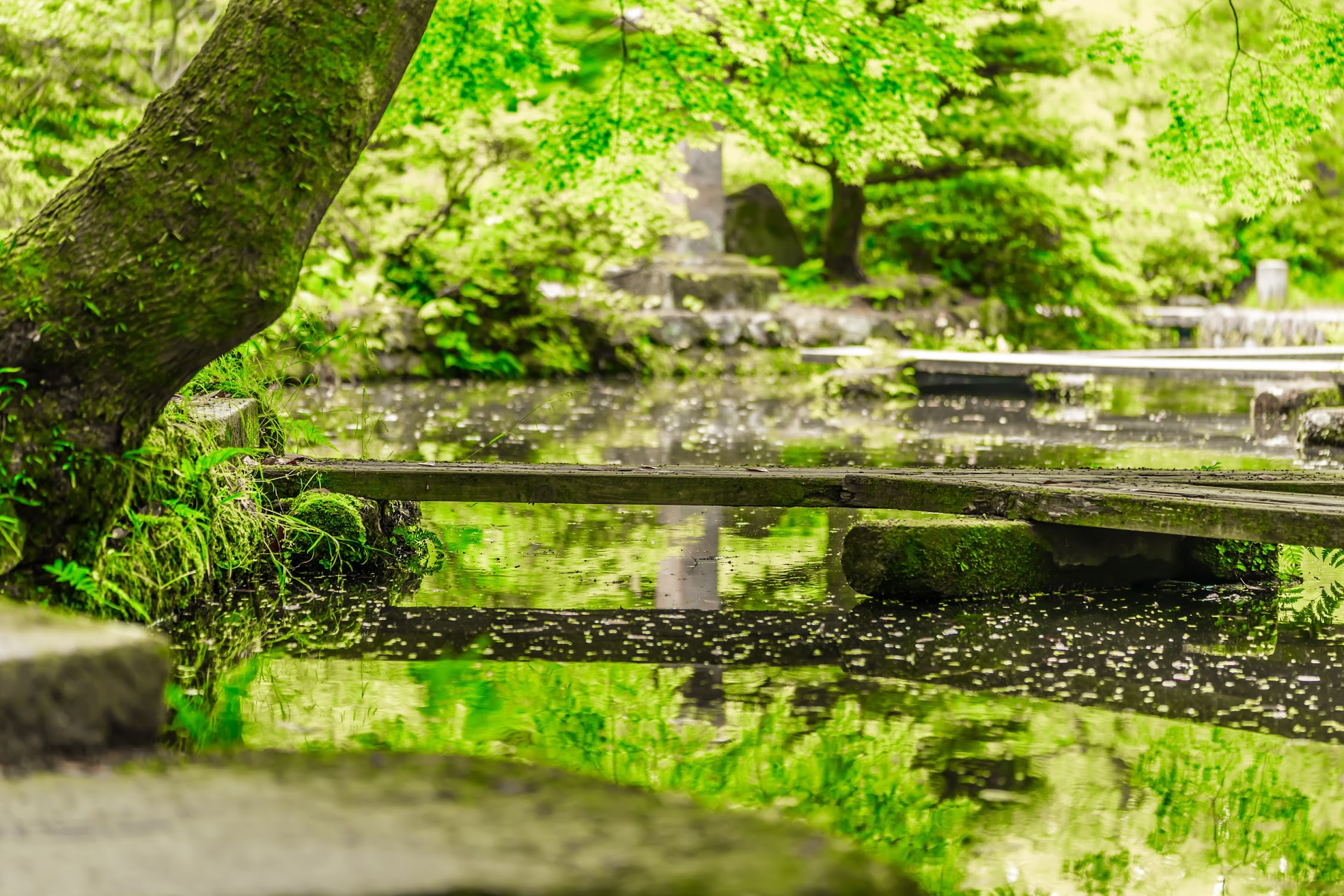 金沢 尾山神社 神苑4