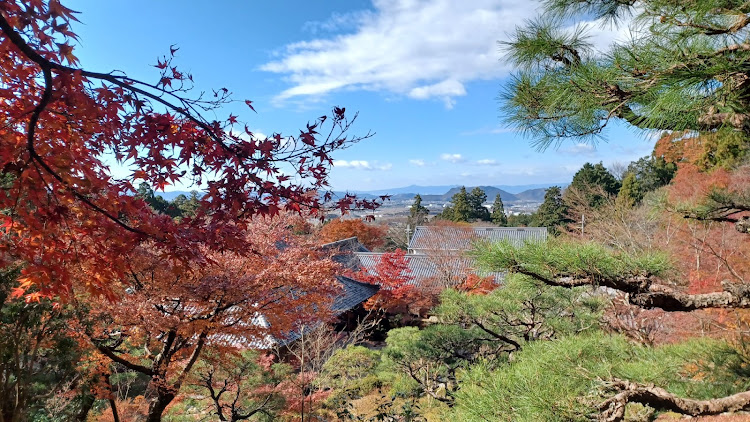 ジムニーの百済寺(ひゃくさいじ)・紅葉🍁ドライブ・ジムやん❗😊・さわ源🍚に関するカスタム事例の投稿画像8枚目