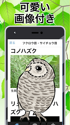 野鳥図鑑 無料〜バードウォッチング×図鑑アプリ 無料×フクロウ×はやぶさ×鳥獣×バードライフ〜のおすすめ画像3