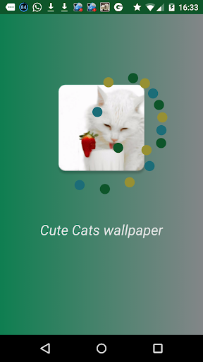 免費下載生活APP|Gatos lindos fondos escritorio app開箱文|APP開箱王