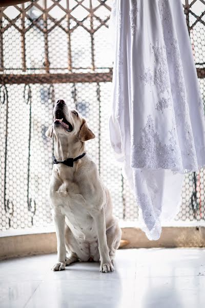 Photographe de mariage Niklesh Malkani (nikleshmalkani). Photo du 26 février 2019