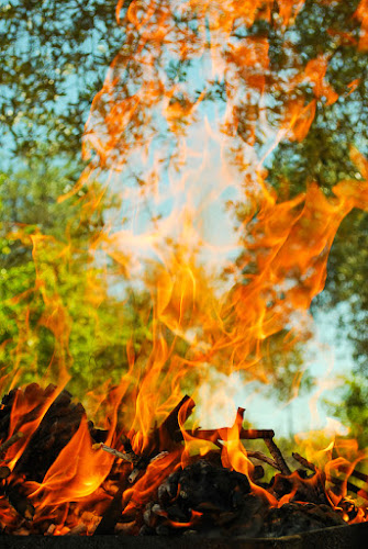 Un fuoco d'amore ... di Luca Gallozza