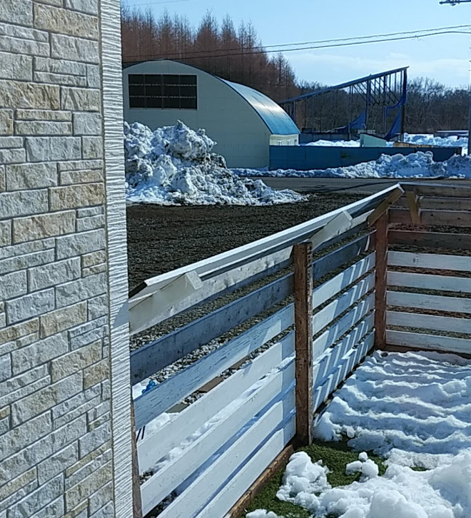 チョビ🐈エリシオン乗りの愉快な仲間達さんが投稿した北海道・まだまだ雪ありますに関するカスタム事例の投稿画像2枚目