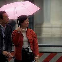 Pink in the rain di 