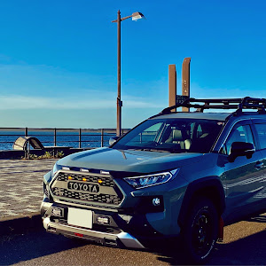 RAV4 MXAA54