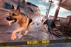 全民 狗狗遊戲 . 我的 小 狗 賽跑 賽 免費 為 女孩